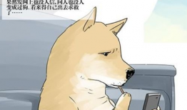 静临漫画犬,治愈系萌宠的奇幻冒险之旅